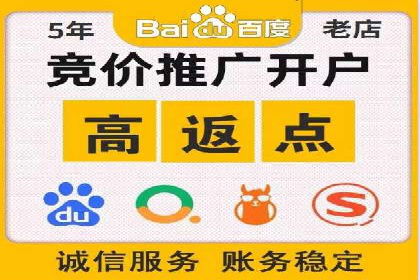 某某sem推广公司案例揭秘：如何精准定位目标用户群体